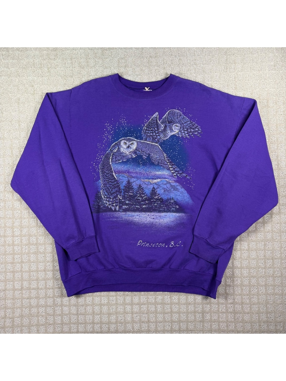 Purple owl graphic crewneck sweatshirt XL